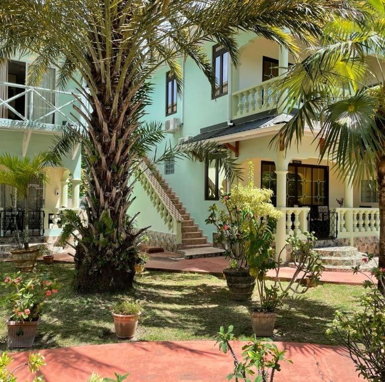 Green Palm Self Catering Anse aux Pins Eksteriør billede